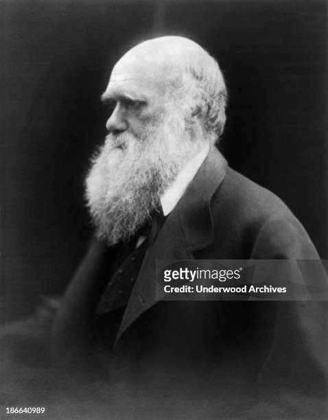 Portrait of scientist and naturalist Charles Darwin by Julia Margaret Cameron, United Kingdom, late 1860s or early 1870s.