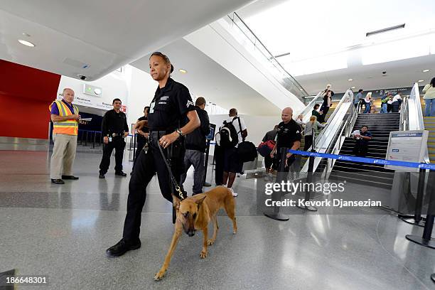 Los Angeles Police Department officer and her canine leave after making a sweep of the re-opened Terminal 3 a day after a shooting at Los Angeles...