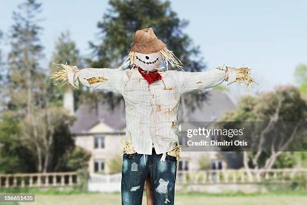 scarecrow protecting house in open field - scarecrow faces stock pictures, royalty-free photos & images