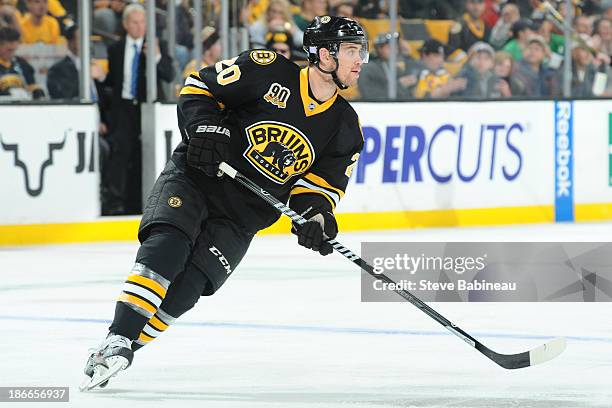 Daniel Paille of the Boston Bruins skates against the Anaheim Ducks at the TD Garden on October 31, 2013 in Boston, Massachusetts.