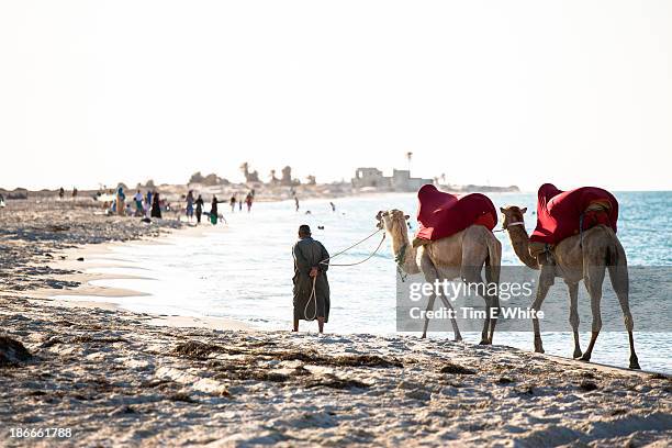 djerba tunisia - tunisia beach stock pictures, royalty-free photos & images