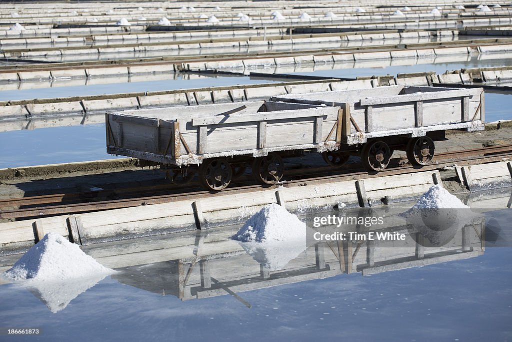 Salt farming fields, Piran, Slovenia