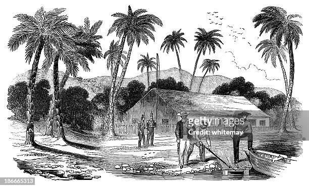 nineteenth century british consul's residence in tahiti - bungalow stock illustrations