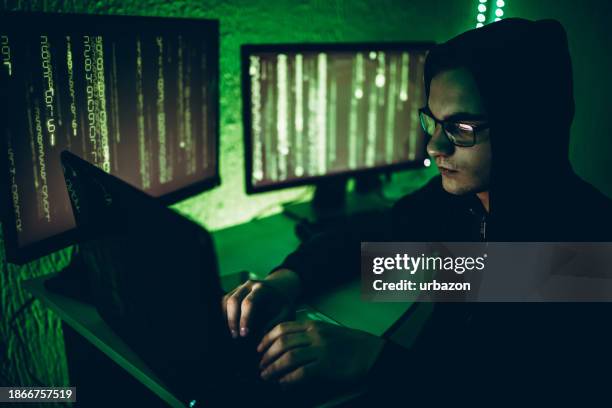 234 Computer Programmer Silhouette Stock Photos, High-Res Pictures, and ...