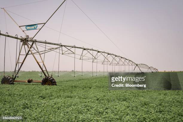 Center pivot sprinkler irrigation system on the Les Fermes de la Teranga alfalfa farm in the Saint-Louis region of Senegal, on Saturday, June 24,...