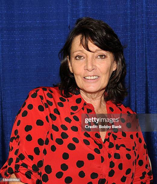 Sarah Douglas attends the 2013 Rhode Island Comic Con at Rhode Island Convention Center on November 2, 2013 in Providence, Rhode Island.