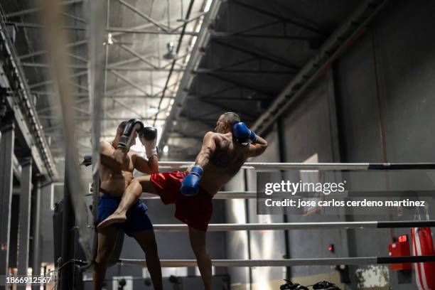 mixed martial arts combat between two multiracial men - mixed martial arts stock pictures, royalty-free photos & images