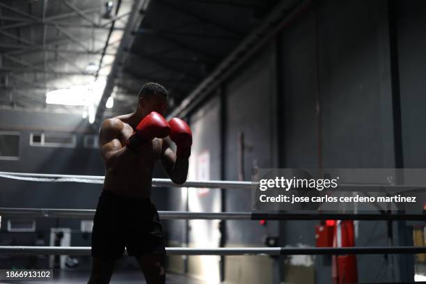 concentrated latin american boxer in boxing ring on guard with gloves - gants de sport photos et images de collection