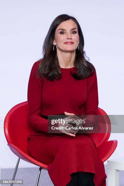 Queen Letizia of Spain attends the annual meeting of Cervantes Institutes directors at the Niemeyer Cultural Center on December 19, 2023 in Aviles,...