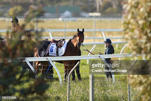 Samantha Cobley lets Ruscello look around during trackwork ahead of the Melbourne Cup at Werribee Racecourse on November 4, 2013 in Melbourne,...