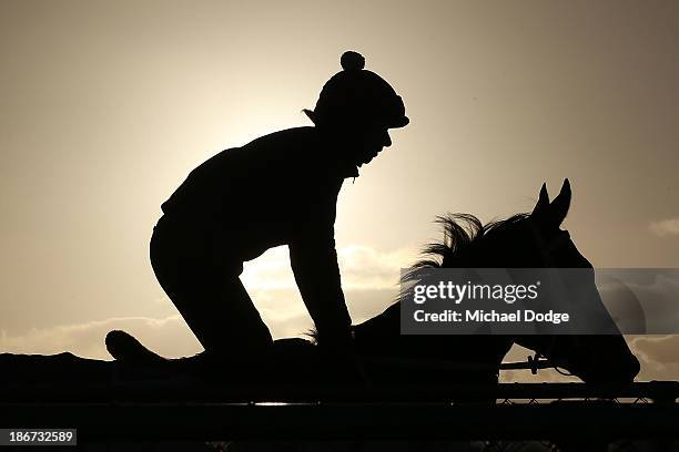 Abigail Harrison rides Mull Of Killough during trackwork ahead of the Melbourne Cup at Werribee Racecourse on November 4, 2013 in Melbourne,...