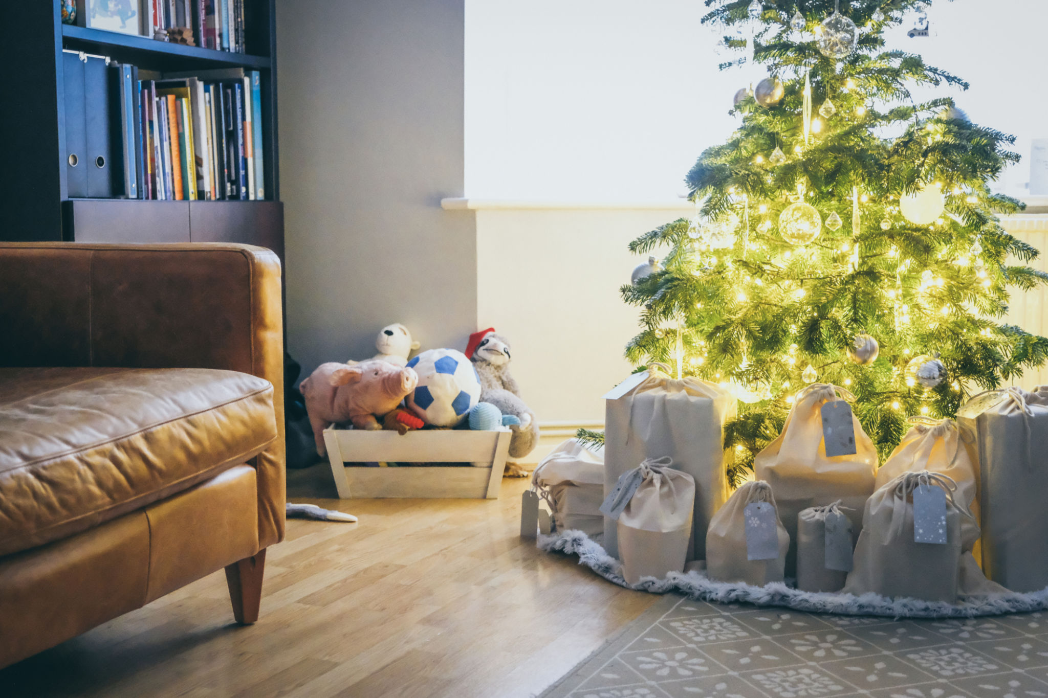 sustainable pet toys