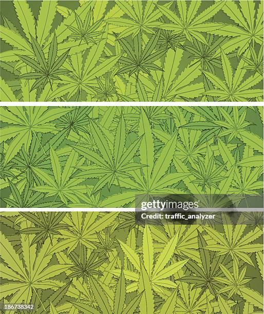 ilustrações de stock, clip art, desenhos animados e ícones de maconha banners - marijuana design