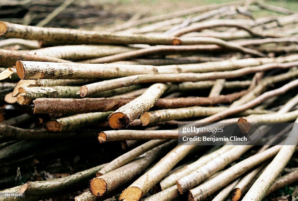 Pile of wooden sticks