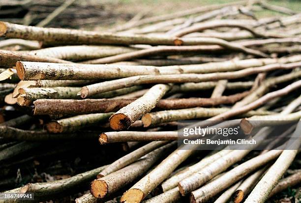 pile of wooden sticks - wooden stick stock pictures, royalty-free photos & images
