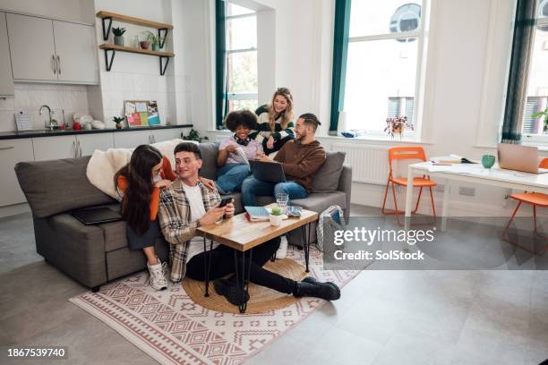 a shared space - student accommodation stock pictures, royalty-free photos & images