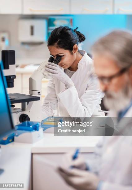 wissenschaftlerin, die im labor mit dem mikroskop arbeitet - medizinische forschung stock-fotos und bilder