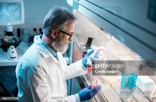 scientist working in laboratory - biochemie stockfoto's en -beelden