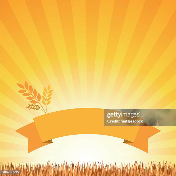 summer banner - turf background stock illustrations