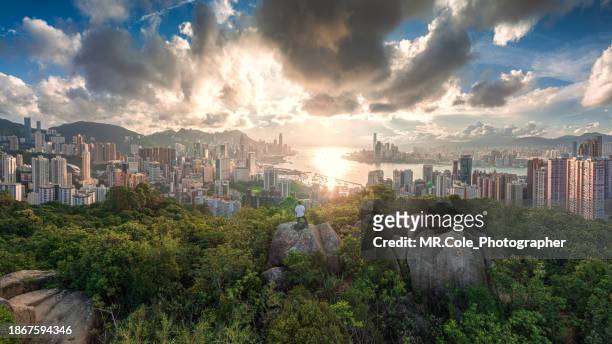 panorama of hong kong city aerial view with a photographer - backpacker apartment stock-fotos und bilder