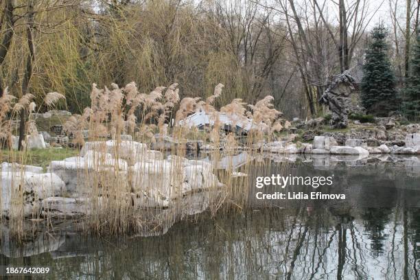 Chinese traditional stone garden. Green plants and rocks in oriental forest. Decorative shrub for landscaping in Asian style. Zen garden with grass and pebbles. Marble rockery stone
