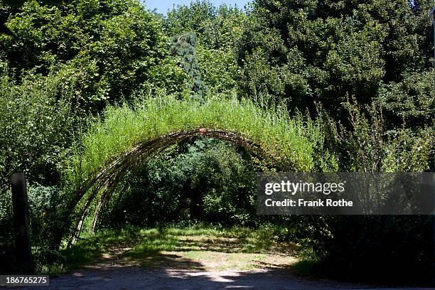 eco friendly car port - willow stock pictures, royalty-free photos & images