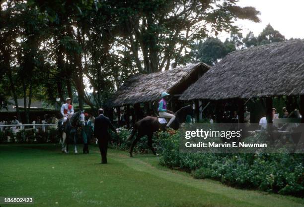 Sports in Africa: View of thatched roofs which cover small stands where bettors can sit and study horses in paddock at Ngong Racecourse. Nairobi,...