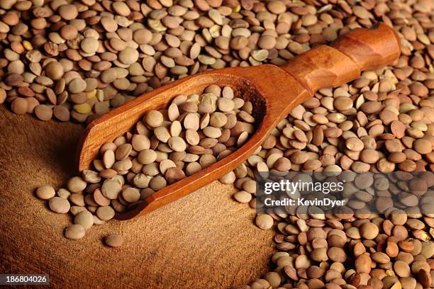 lentils and scoop - lentil stock pictures, royalty-free photos & images