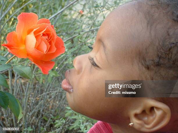 373 Child Smelling Rose Stock Photos, High-Res Pictures, and Images ...