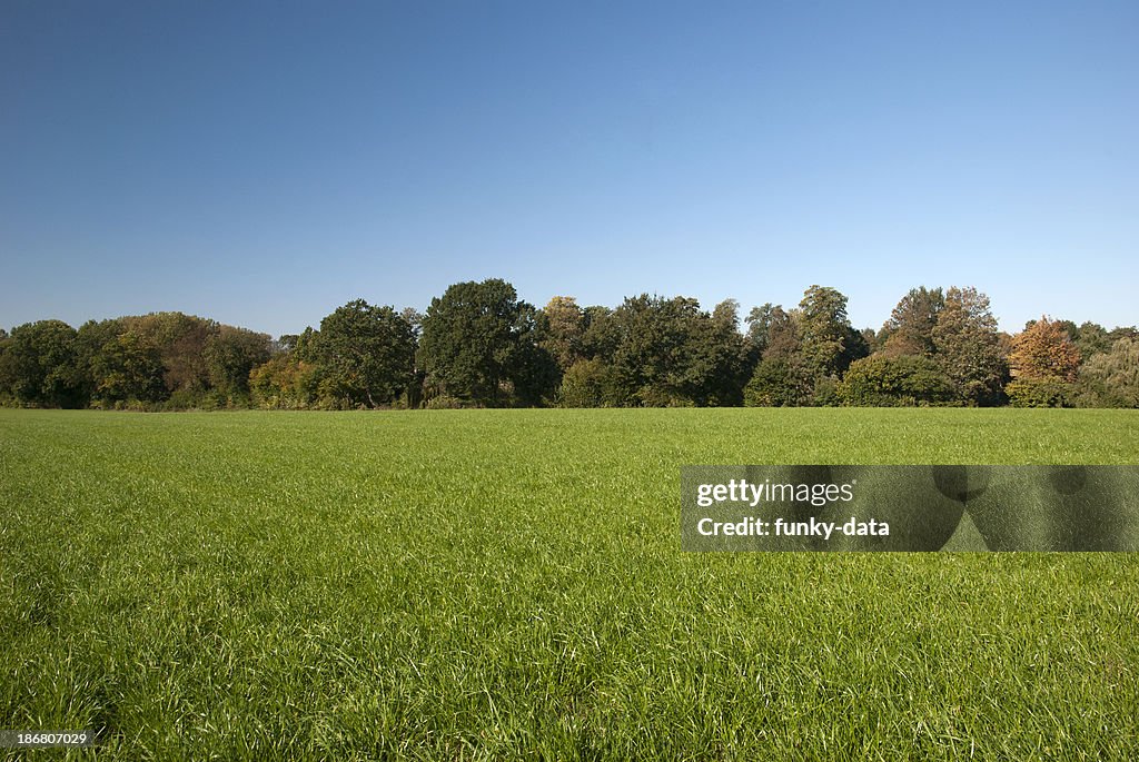 Ambiente Rural de primavera