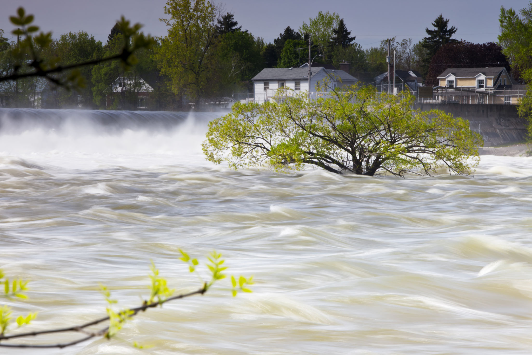 flood management design