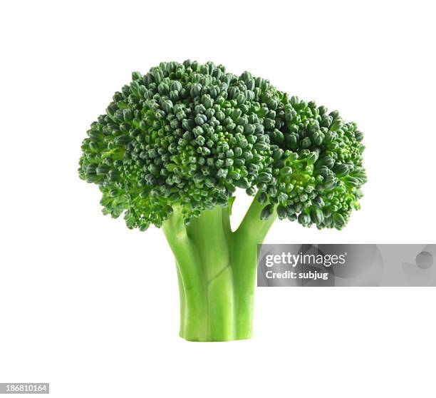 broccoli - broccoli on white stockfoto's en -beelden