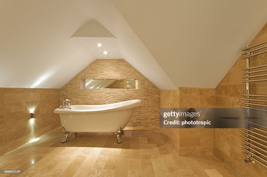 Elegant attic bath and towel rail
