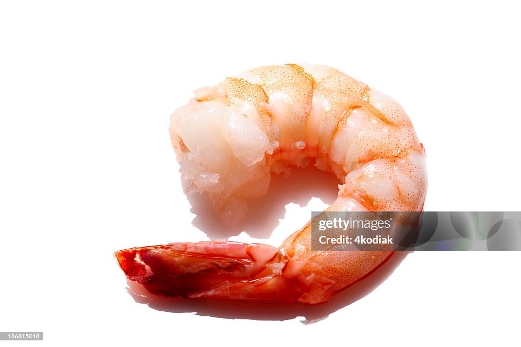 Cozinhados Camarão Pequeno