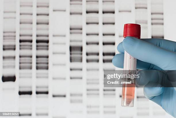 dna test - investigate stock pictures, royalty-free photos & images