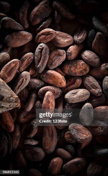 cocoa beans - cacao beans stock pictures, royalty-free photos & images