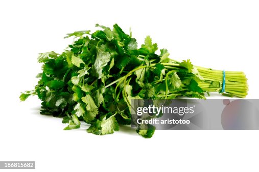 Isolated Fresh Cilantro Isolated Fresh Cilantro