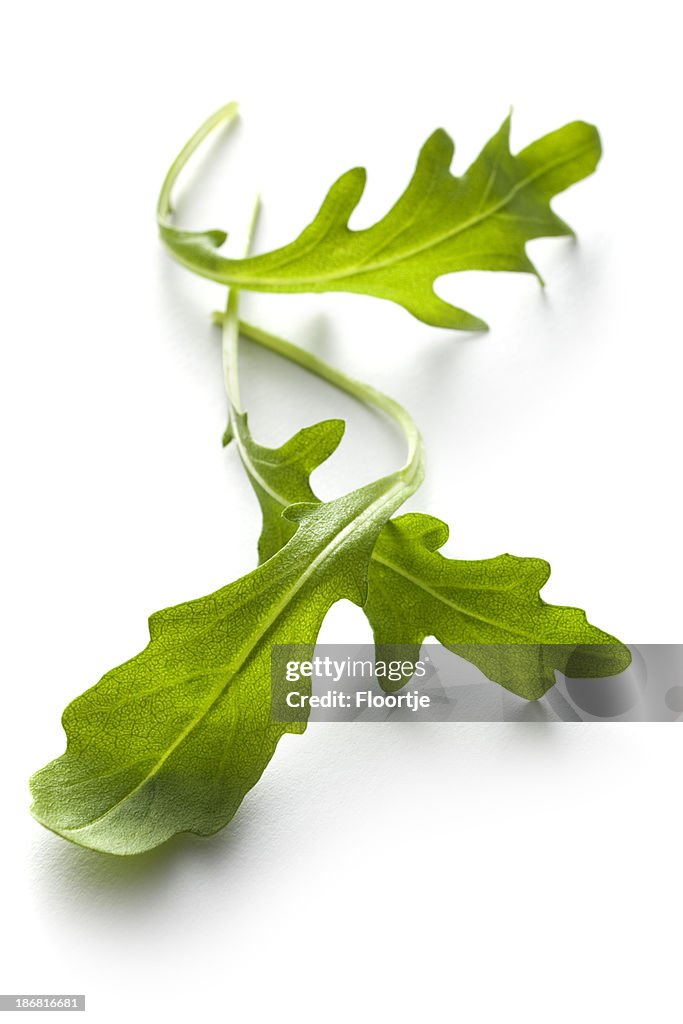 Vegetables: Arugula Lettuce Isolated on White Background