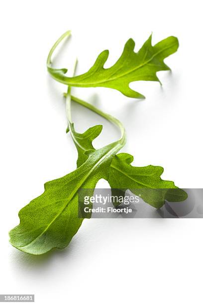 vegetables: arugula lettuce isolated on white background - lettuce stock pictures, royalty-free photos & images