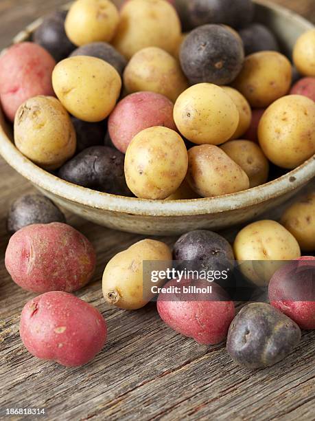 raw multi-colored small potatoes in ceramic bowl on wood - yukon gold stock pictures, royalty-free photos & images