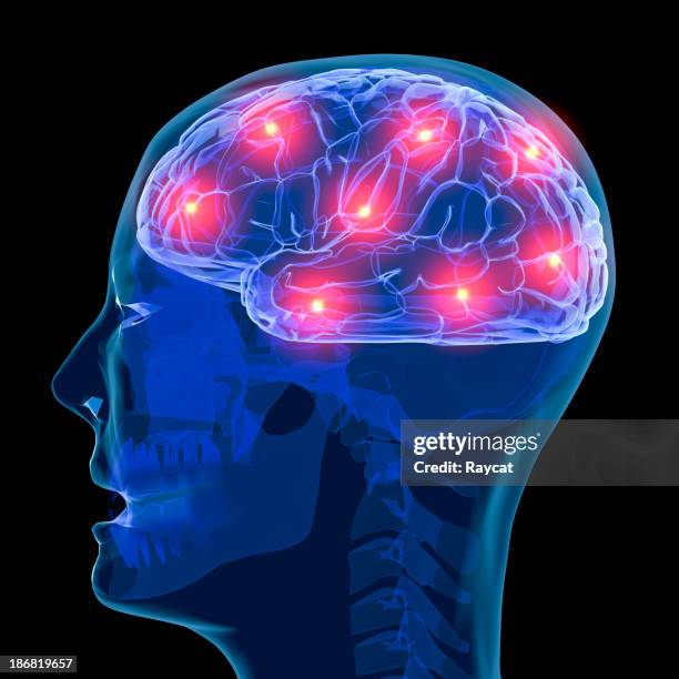 active brain - brain activity stock pictures, royalty-free photos & images