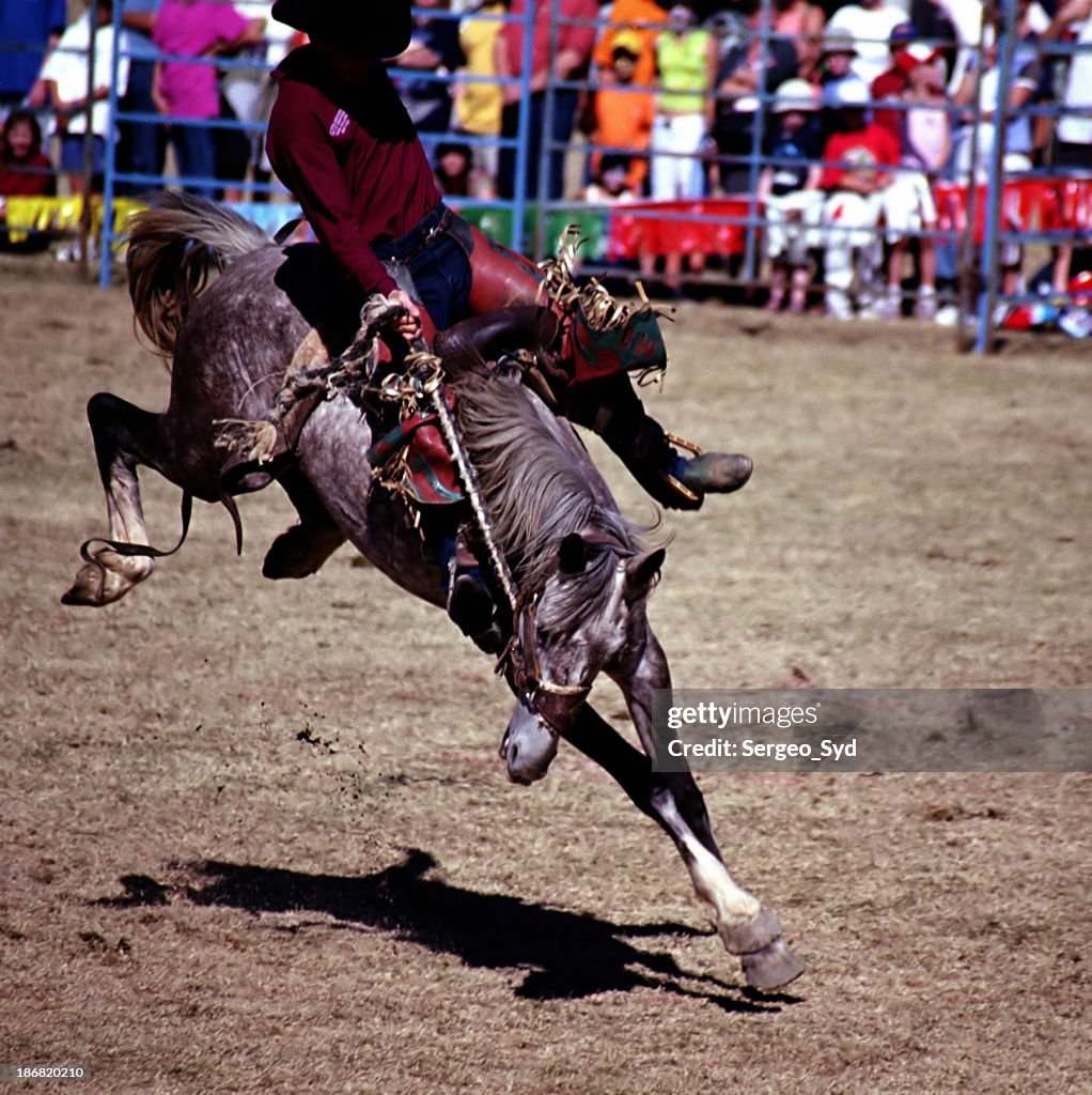 Rodeo riding action 02