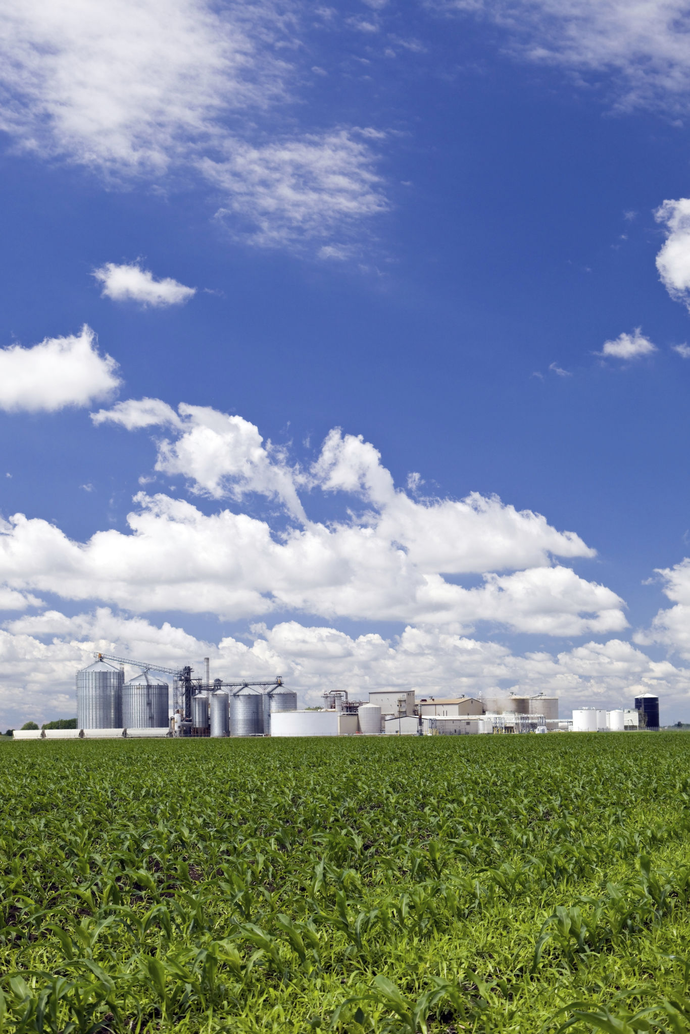 biorefinery