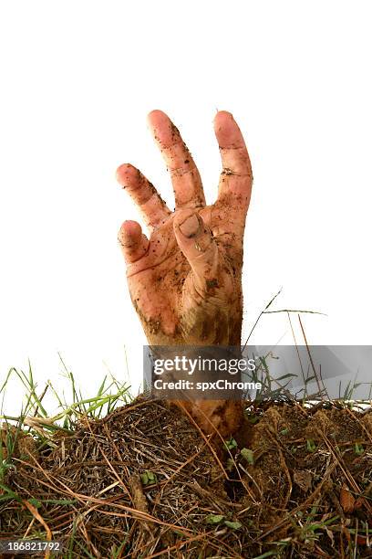 buried alive - zombie hand stock pictures, royalty-free photos & images