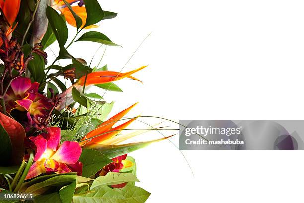 bouquet exóticos. - flor alcatraz y fondo blanco fotografías e imágenes de stock