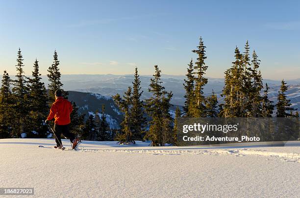 skier in pristine mountains with fresh snow - beaver creek colorado stock pictures, royalty-free photos & images