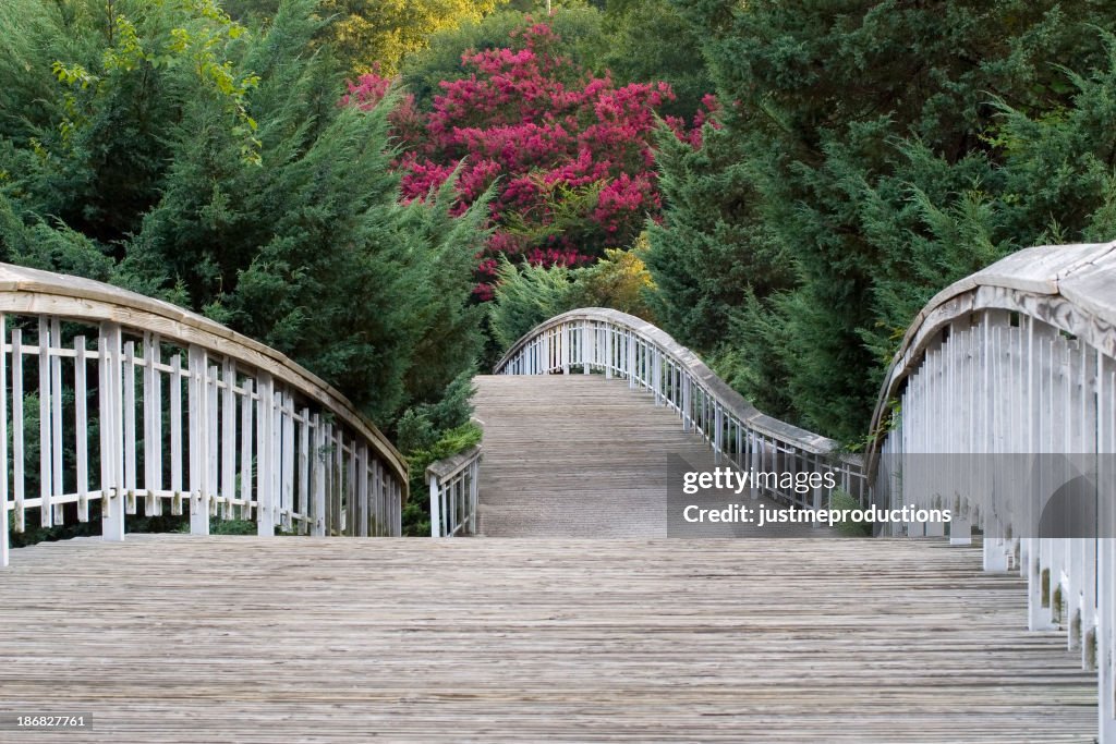 Bridge at Pullen Park