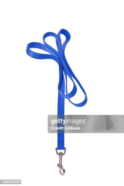dog leash - dog lead stock pictures, royalty-free photos & images