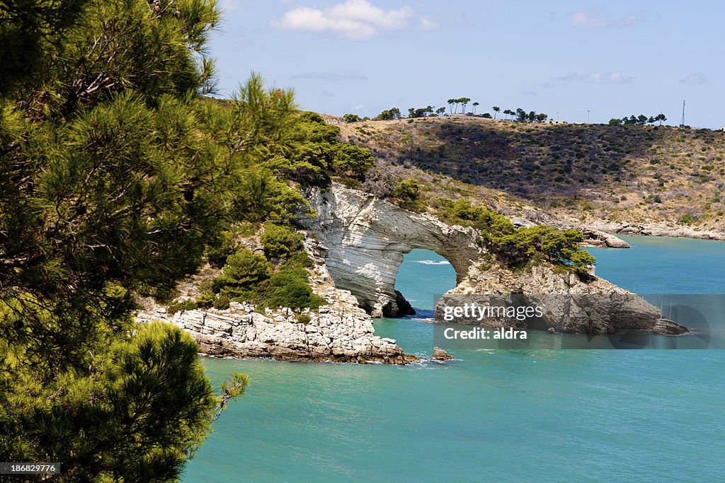 Gargano, 19