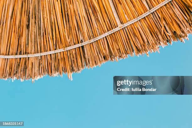 straw beach umbrella over the blue clear sky - parasol de plage photos et images de collection